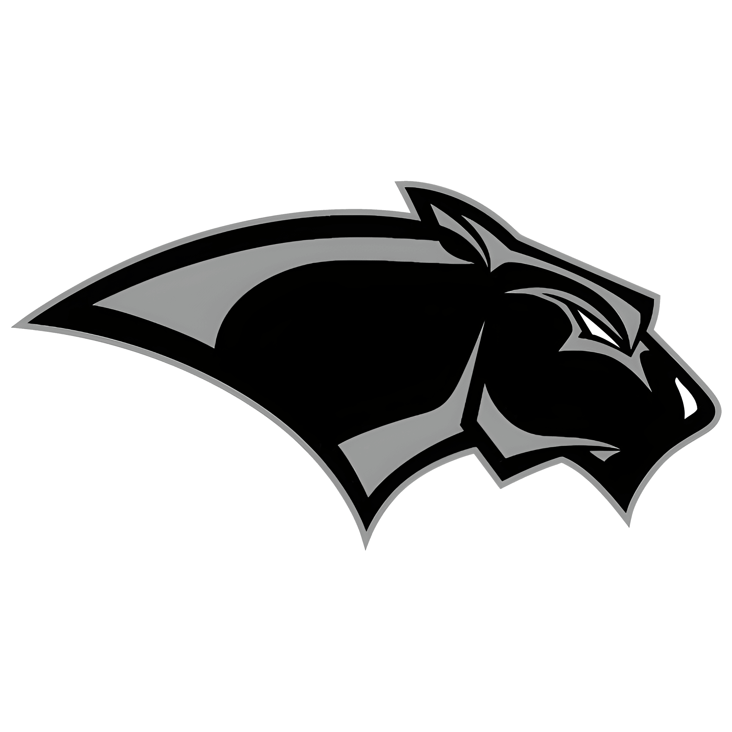 Pine View logo
