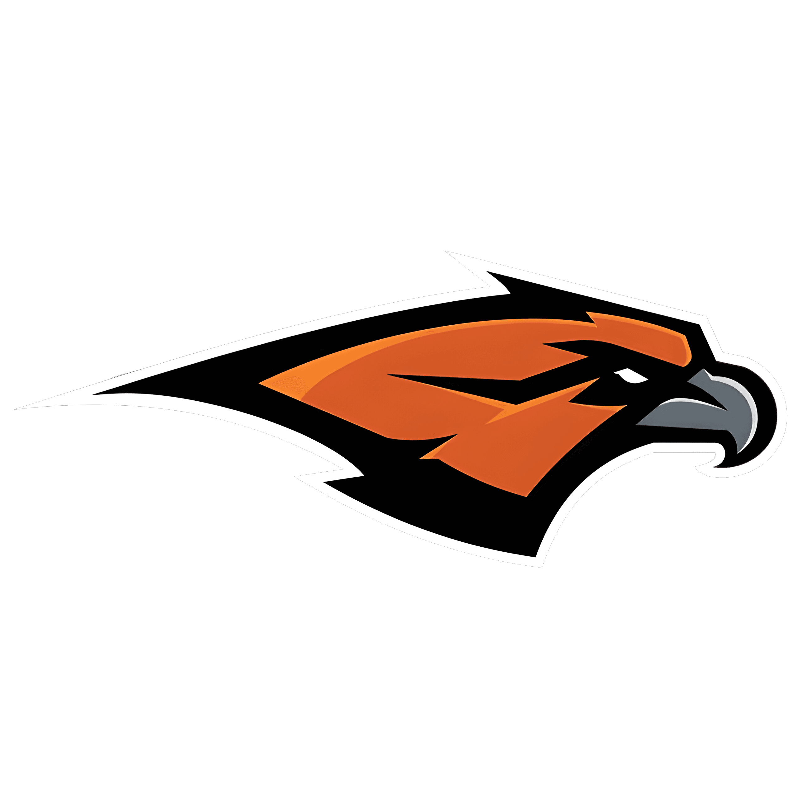 Skyridge logo