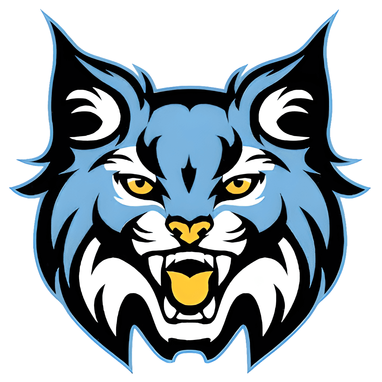 Sky View logo